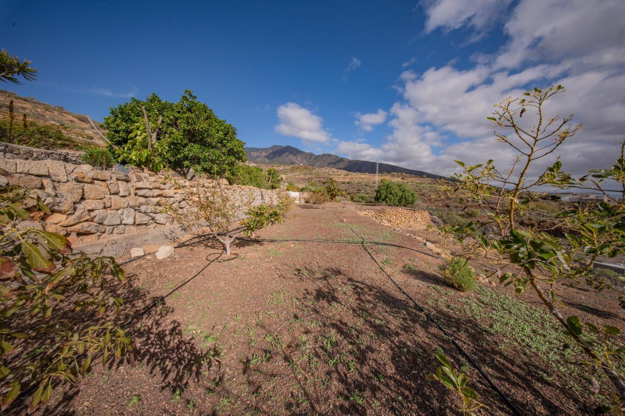 Casa Rural Buda Terra 圣克鲁斯-德特内里费 外观 照片