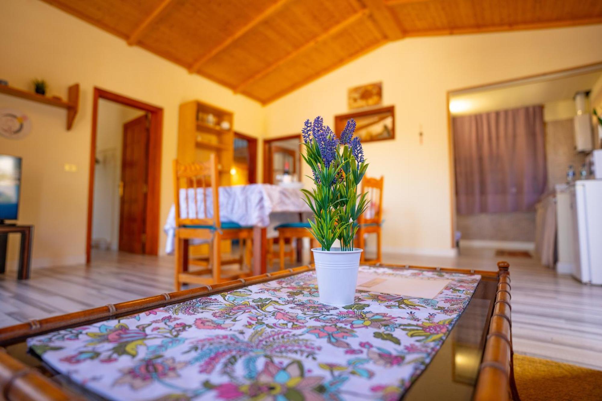 Casa Rural Buda Terra 圣克鲁斯-德特内里费 外观 照片