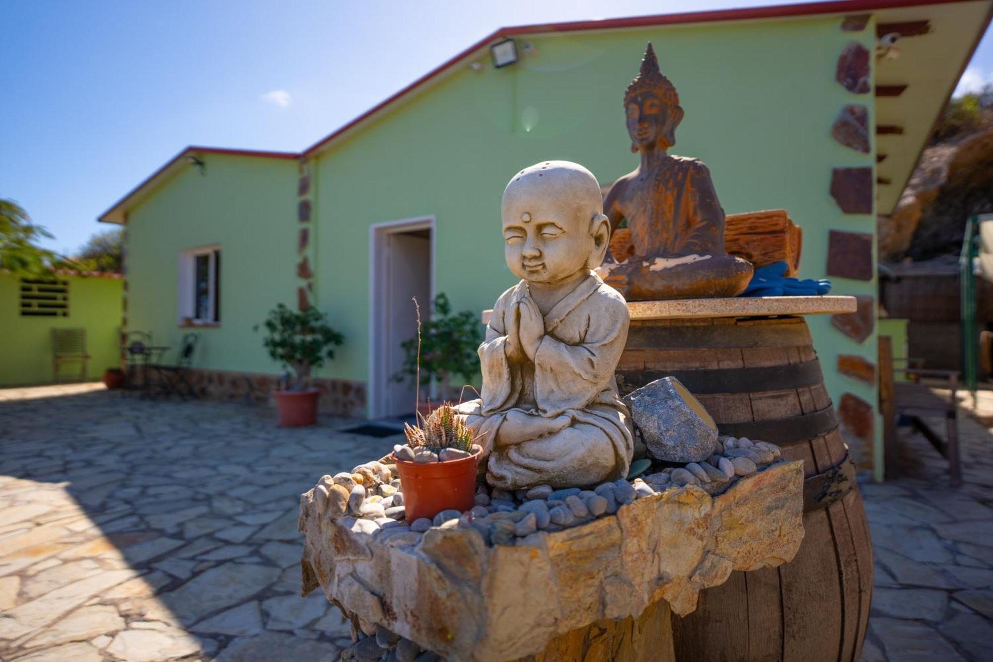 Casa Rural Buda Terra 圣克鲁斯-德特内里费 外观 照片